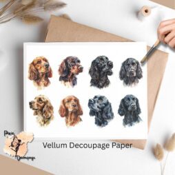 Eight images of Cocker Spaniels.