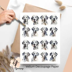Sixteen images of Dalmatians.