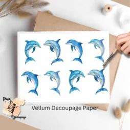 Eight images of dolphins.