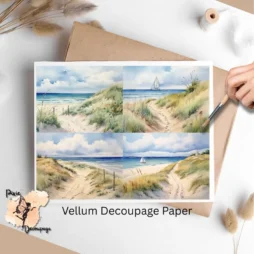 Images of dunes and beaches.