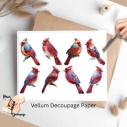 Eight images of cardinals.