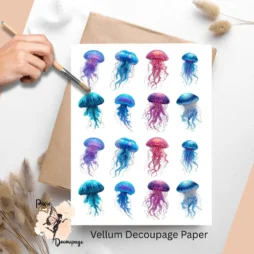Sixteen images of jellyfiish.