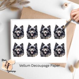 Eight images of black Pomeranians.