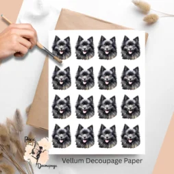 Sixteen images of black Pomeranians.
