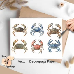 Six images of crabs.