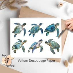 Six images of sea turtles.