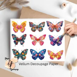 Images of butterflies.