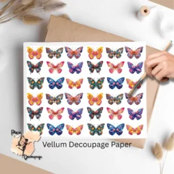Images of butterflies.