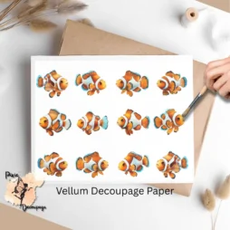 Twelve images of clownfish.