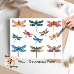 Images of dragonflies.