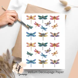 Images of dragonflies.