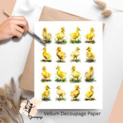 Images of ducks.
