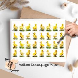Images of ducks.