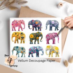 Images of elephants.