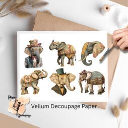 Images of elephants.