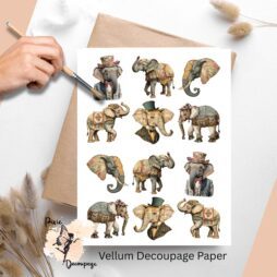 Images of elephants.