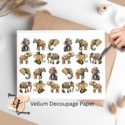 Images of elephants.